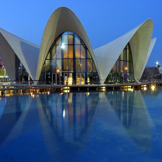 Entrada a Oceanogràfic y Backstage Tour (Valencia)