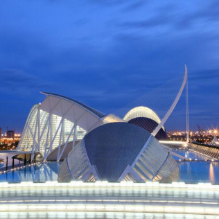 Entrada a Oceanogràfic y Backstage Tour (Valencia)
