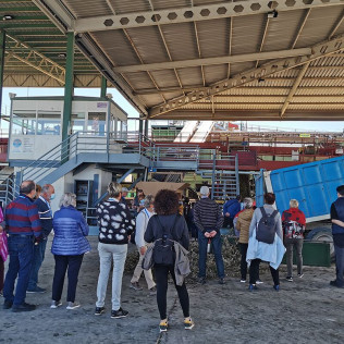 Visita a Oleotour Cazorla con Degustación de Aceites (Cazorla, Jaén)