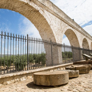 Oleoturismo ‘Hacienda La Laguna’: Entrada y Visita al Museo y Taller de Iniciación a la Cata de Aceites para dos (Puente del Obispo, Jaén)