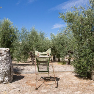 Oleoturismo ‘Hacienda La Laguna’: Entrada y Visita al Museo y Taller de Iniciación a la Cata de Aceites para dos (Puente del Obispo, Jaén)