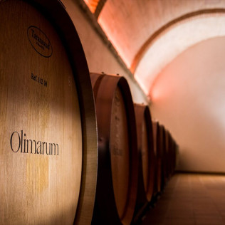 Visita a Bodegas Olimarum con Cata de Vino y Aperitivo para dos (Canalejas de Peñafiel, Valladolid)