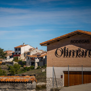 Visita a Bodegas Olimarum con Cata de Vino y Aperitivo para dos (Canalejas de Peñafiel, Valladolid)