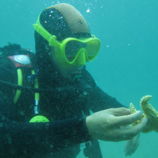 Curso de Iniciación de Buceo Open Water Diver (Lugo)