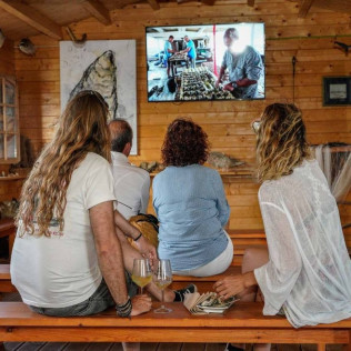 Paseo en Barco y Experiencia de Maridaje de Ostras para dos en el Mirador Badía (Delte de l'Ebre, Tarragona)