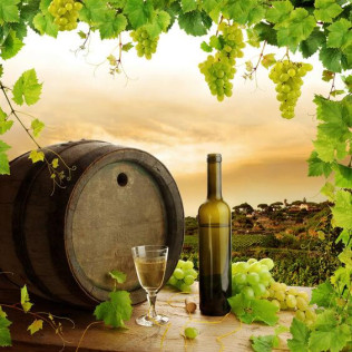 Pack Hotel y Visita a Bodega con Cata