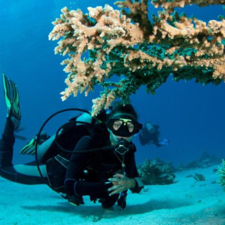 Pack Bautismo de Buceo