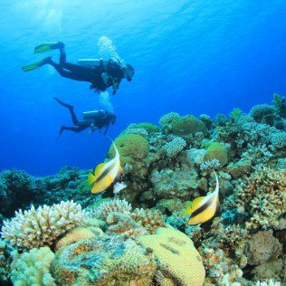 Pack Bautismo de Buceo
