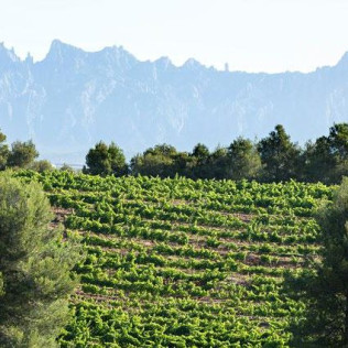 Pack Hotel y Visita a Bodega con Cata