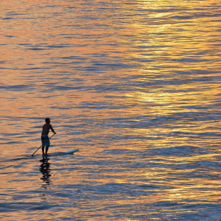 Ruta Guiada en Paddle Surf con Fotos y Vídeos en el Paraje Natural de Punta Entinas (Almerimar, Almería)