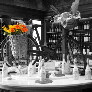 Visita y Cata de Vino en Pagos del Rey Museo del Vino (Morales de Toro, Zamora)
