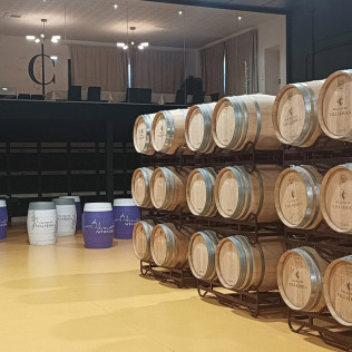 Visita a Bodega con Cata de Vinos y Aperitivo para dos en Palacio de Villachica (Toro, Zamora)