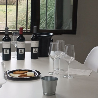 Visita a Bodega con Cata de Vinos y Aperitivo para dos en Palacio de Villachica (Toro, Zamora)