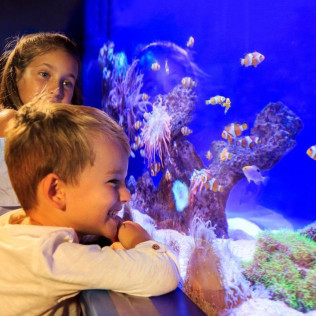 Entrada a Palma Aquarium (Palma de Mallorca)