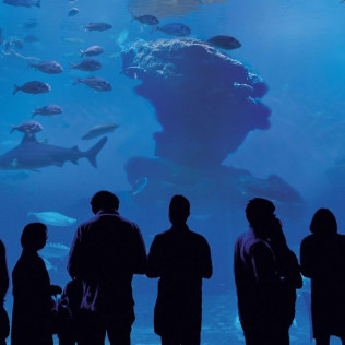 Entrada a Palma Aquarium (Palma de Mallorca)