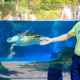 Entrada a Palma Aquarium (Palma de Mallorca)