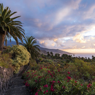 Escapada con Desayuno y Comida o Cena para dos personas en Parador de La Palma (Santa Cruz de Tenerife)
