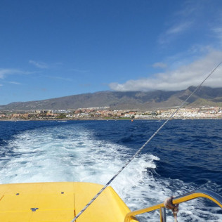 Vuelo en Parascending en Costa Adeje (Santa Cruz de Tenerife)