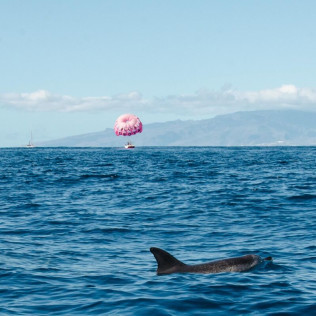 Parascending (Tenerife)