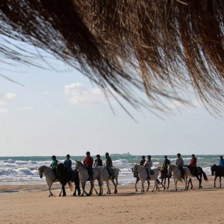 Ruta a Caballo por la Playa (Cádiz)