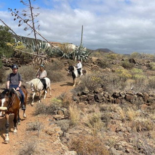 Paseo a caballo (Gran Canaria)