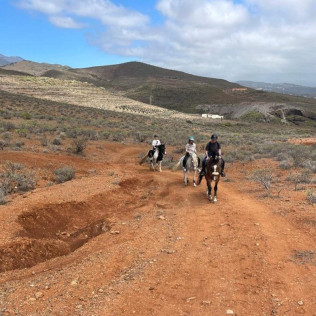 Paseo a caballo (Gran Canaria)