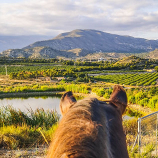 Paseo a Caballo por la Montaña con Vistas al Mar para dos (Villajoyosa, Alicante)