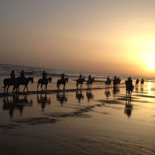 Ruta a Caballo (Villamanrique, Sevilla)