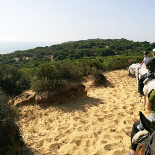 Ruta a Caballo (Villamanrique, Sevilla)