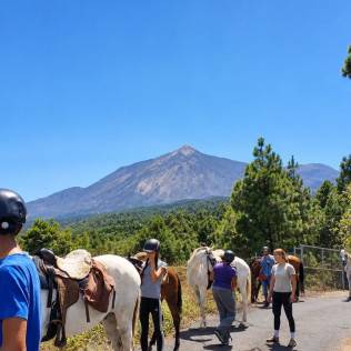 Paseo a Caballo (Icod de los Vinos, Tenerife)