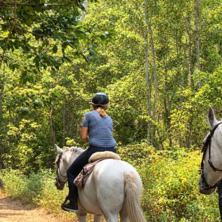 Paseo a Caballo (Icod de los Vinos, Tenerife)