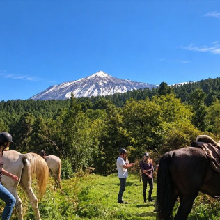Paseo a Caballo (Icod de los Vinos, Tenerife)