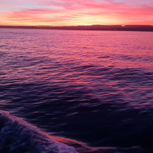 Paseo al Atardecer y Noche en Barco para dos (Estepona, Málaga)