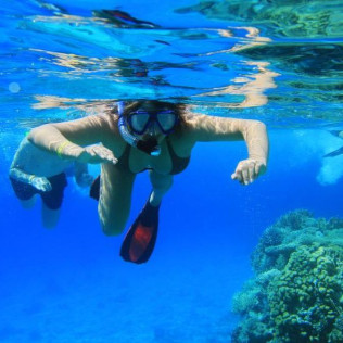 Paseo en Barca por Calas con Snorkel en la Cova del Llop Marí (Ametlla de Mar, Tarragona)