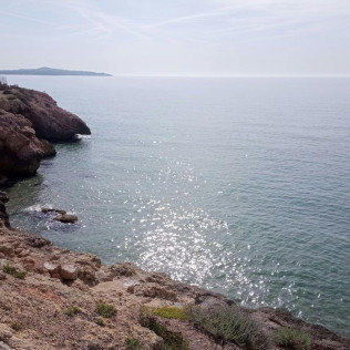Paseo en Barca por Calas con Snorkel en la Cova del Llop Marí (Ametlla de Mar, Tarragona)