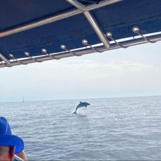 Paseo en Barco por la Costa del Sol con Avistamiento de Delfines (Fuengirola, Málaga) 