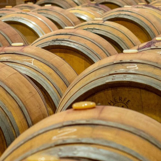 Paseo a Caballo y Visita a Bodega Vinícola de Arganda con Degustación de Vinos y Maridaje para dos (Madrid)