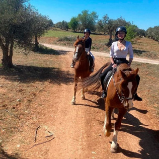 Paseo a Caballo y Visita a Bodega Vinícola de Arganda con Degustación de Vinos y Maridaje para dos (Madrid)