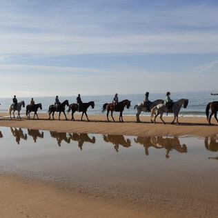 Paseo a Caballo por las playas de Doñana (Mazagón, Huelva)