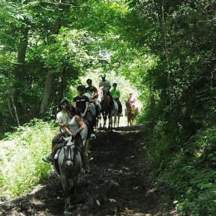 Paseo a Caballo para dos (Lleida)