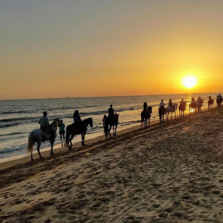 Paseo a Caballo al Atardecer por las playas de Doñana (Mazagón, Huelva)
