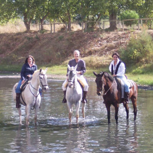 Paseo a Caballo para dos por Pinares de Aznalcázar (Sevilla)
