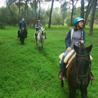 Paseo a Caballo para dos por Pinares de Aznalcázar (Sevilla)