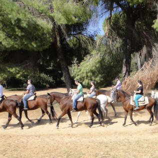 Paseo a Caballo para dos por Pinares de Aznalcázar (Sevilla)