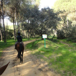 Paseo a Caballo (Sevilla)
