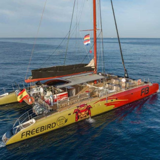 Paseo en Catamarán Freebird para Avistamiento de Ballenas y Delfines con Baño (Costa Adeje, Tenerife)
