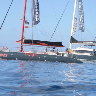 Paseo en Catamarán Freebird para Avistamiento de Ballenas y Delfines con Baño (Costa Adeje, Tenerife)