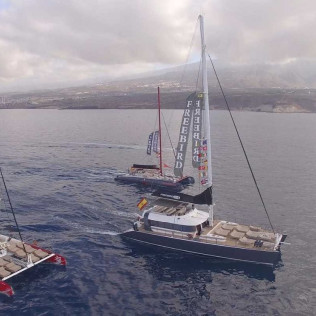 Paseo en Catamarán Freebird para Avistamiento de Ballenas y Delfines con Baño (Costa Adeje, Tenerife)
