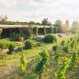 Paseo Guiado con Cata de Vinos y Comida para dos en Clos de Basella (Siurana, Girona)