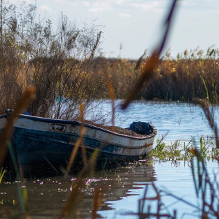 Paseo en Barca con Cata de Vino o Vermut por la Albufera (El Palmar, Valencia)